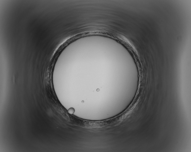 X0000085050875200703051043