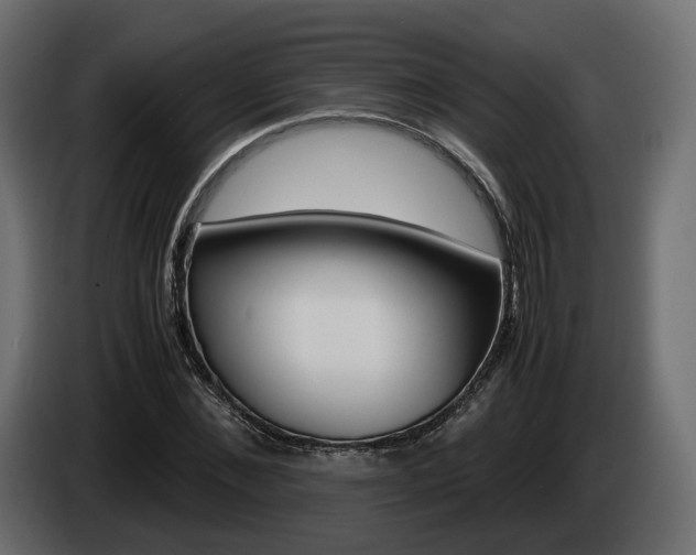 X0000085050876200703051043