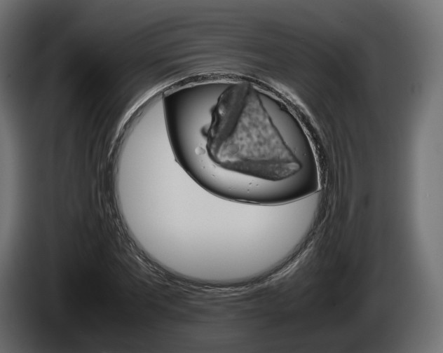 X0000085050877200703051043
