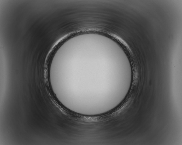 X0000085050878200703051043