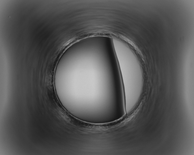 X0000085050881200703051043