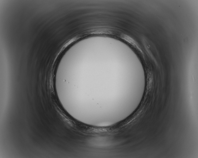 X0000085050882200703051043