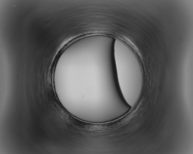 X0000085050883200703051043