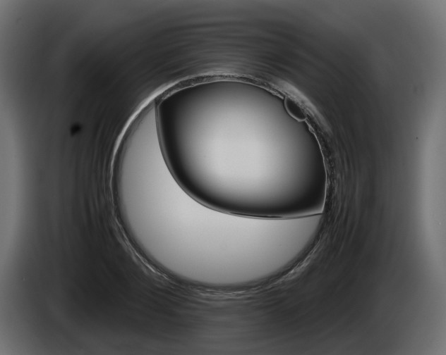 X0000085050884200703051043