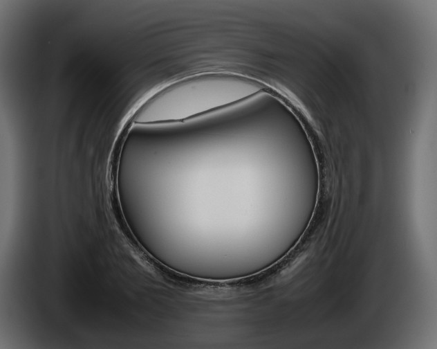 X0000085050885200703051043