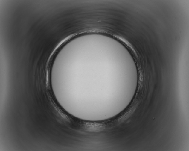 X0000085050886200703051043