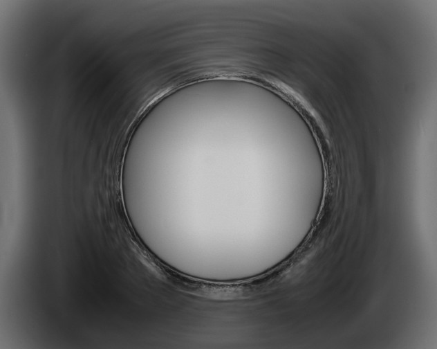 X0000085050889200703051043