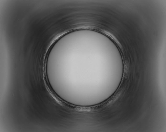 X0000085050890200703051043