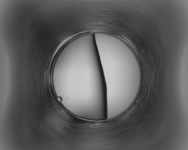 X0000085050891200703051043