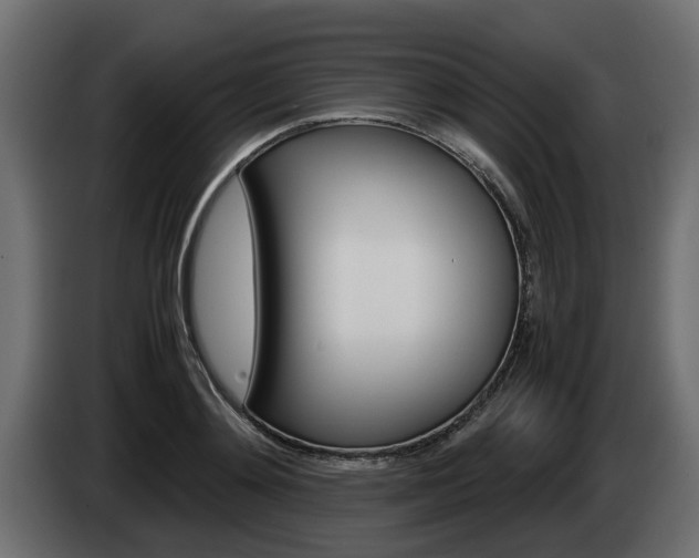 X0000085050892200703051043