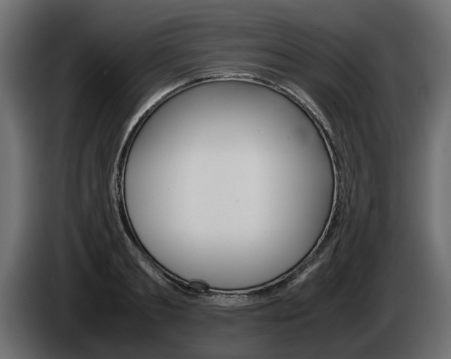 X0000085050893200703051043
