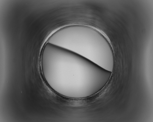 X0000085050895200703051043