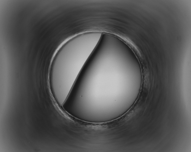 X0000085050896200703051043
