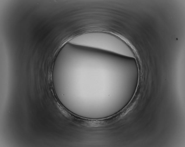 X0000085050897200703051043