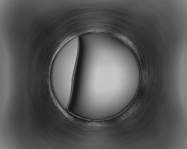 X0000085050898200703051043