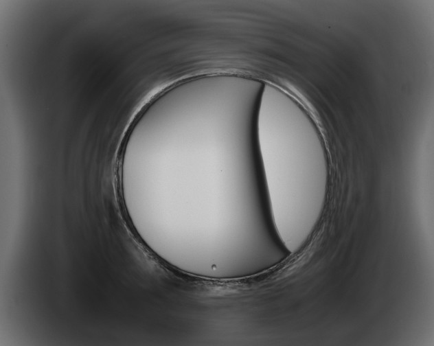 X0000085050899200703051043
