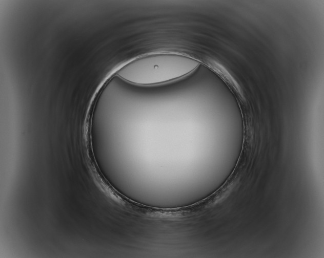 X0000085050900200703051043