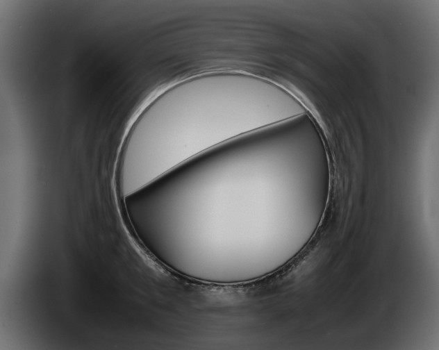 X0000085050901200703051043