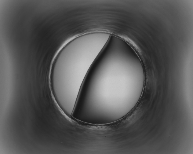 X0000085050902200703051043