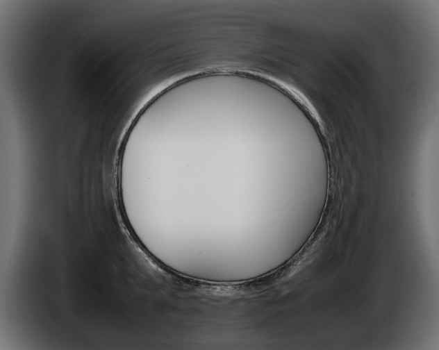 X0000085050903200703051043