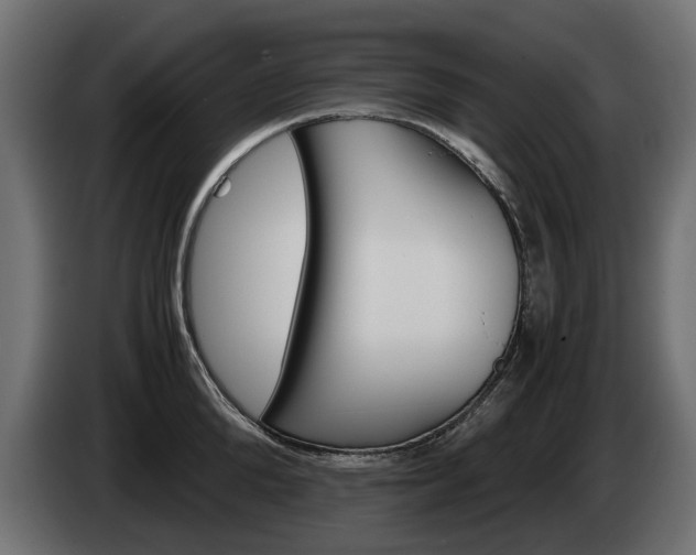 X0000085050904200703051043