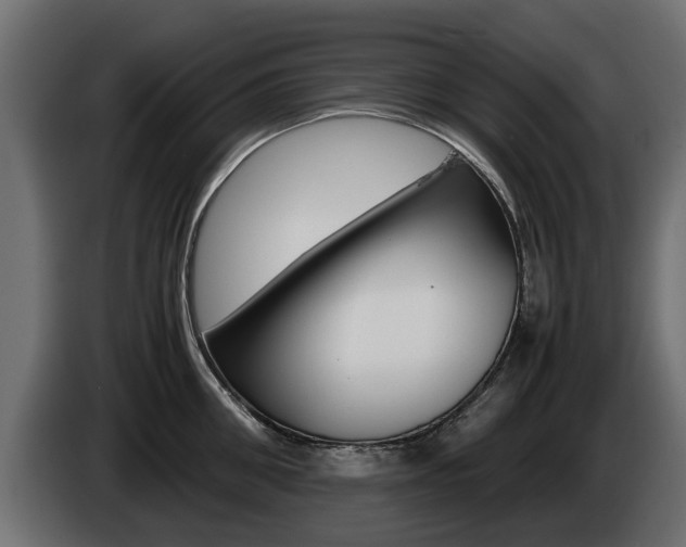 X0000085050906200703051043