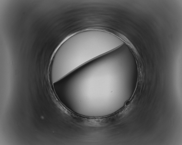 X0000085050908200703051042