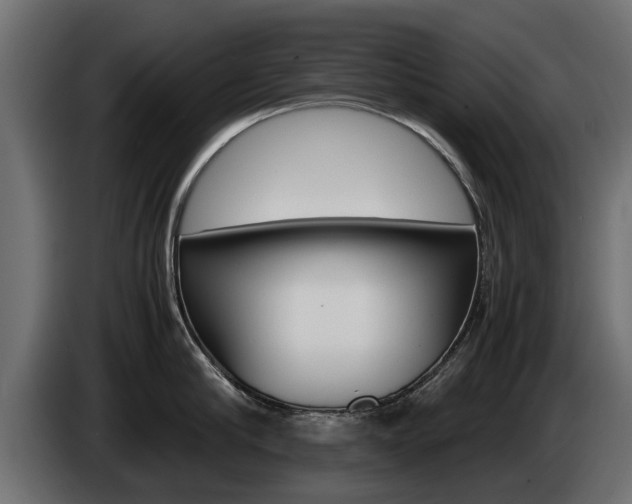 X0000085050910200703051042