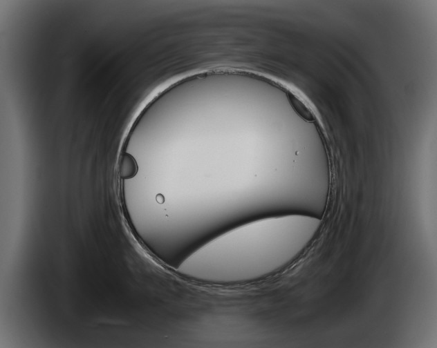 X0000085050911200703051042