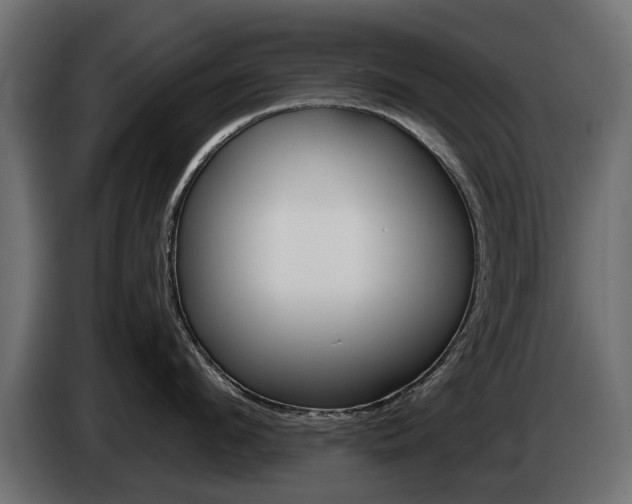 X0000085050912200703051042