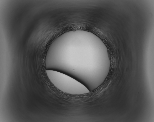 X0000085050913200703051042