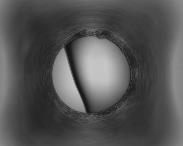 X0000085050914200703051042