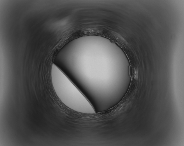 X0000085050915200703051042
