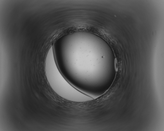 X0000085050916200703051042