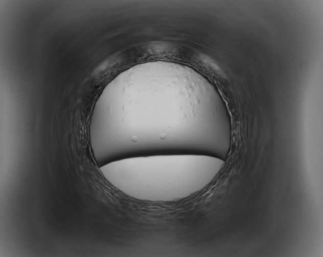 X0000085050917200703051042