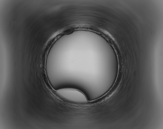 X0000085050922200703051042