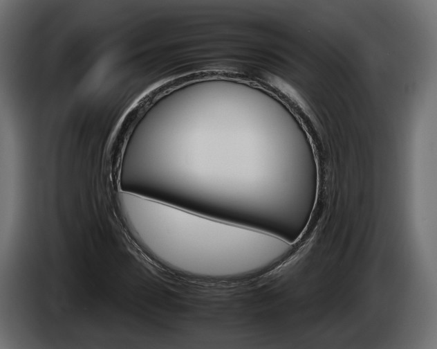 X0000085050923200703051042