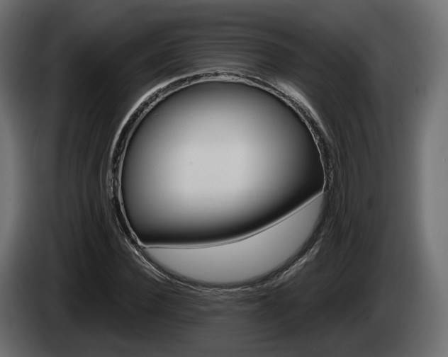 X0000085050924200703051042