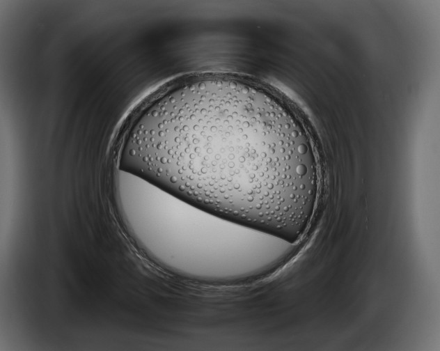 X0000085050925200703051042