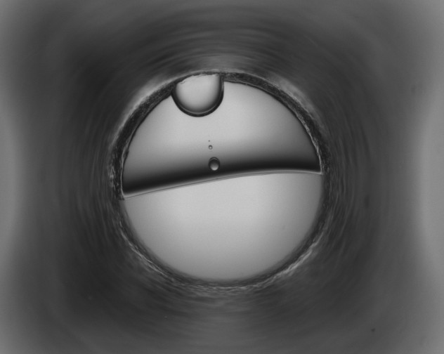 X0000085050926200703051042