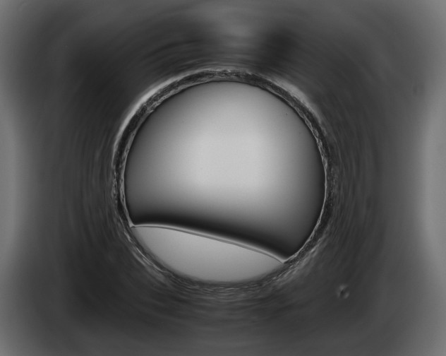 X0000085050927200703051042