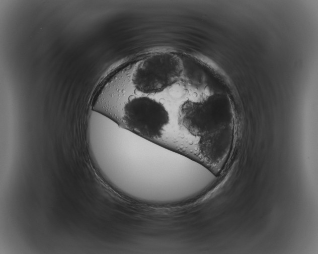 X0000085050929200703051042