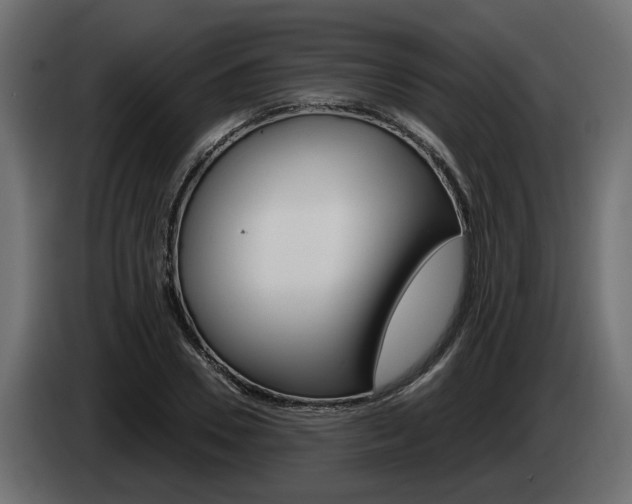X0000085050930200703051042