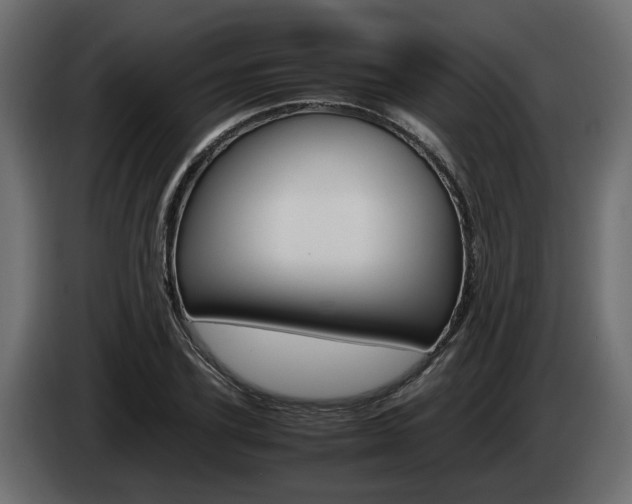 X0000085050931200703051042