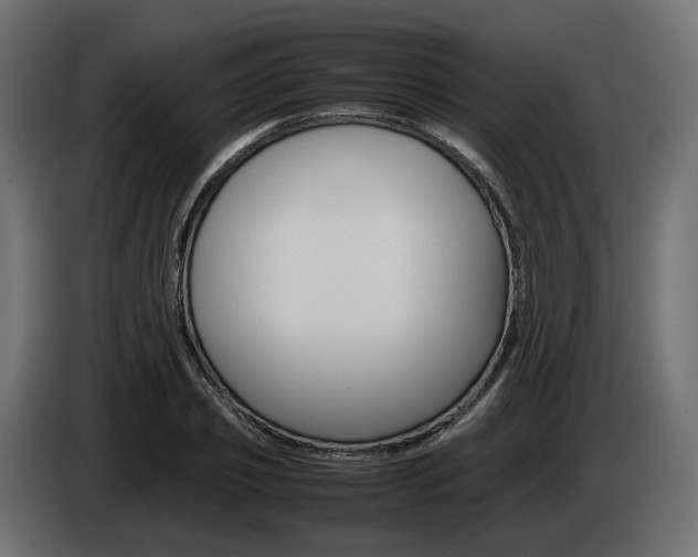 X0000085050933200703051042