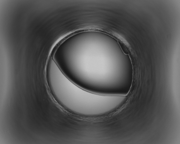 X0000085050936200703051042