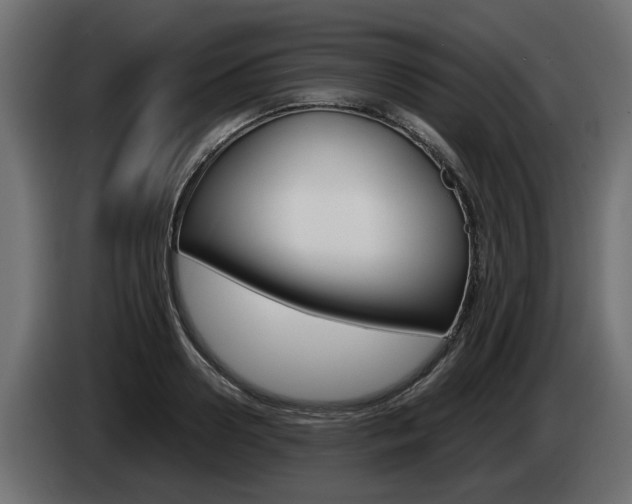 X0000085050938200703051042