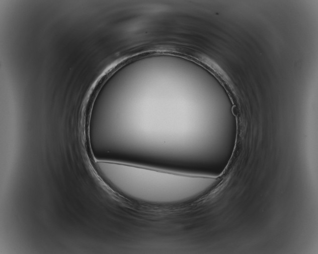 X0000085050939200703051042