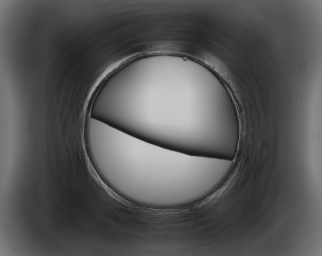 X0000085050941200703051042