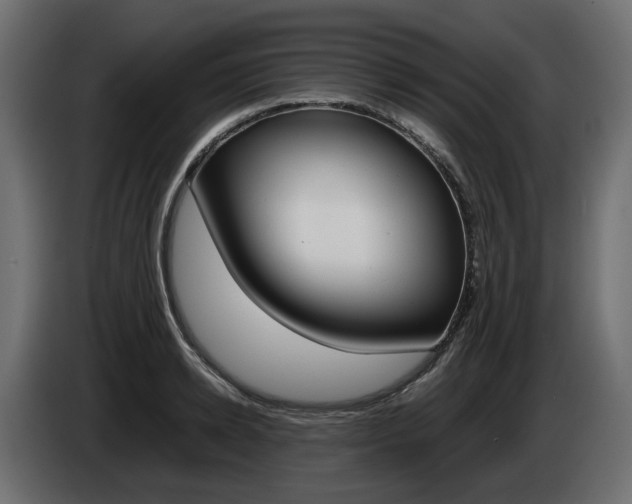 X0000085050942200703051042